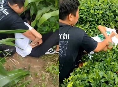 เหมือนนักเรียนหญิงที่อยู่กลางป่าป่า